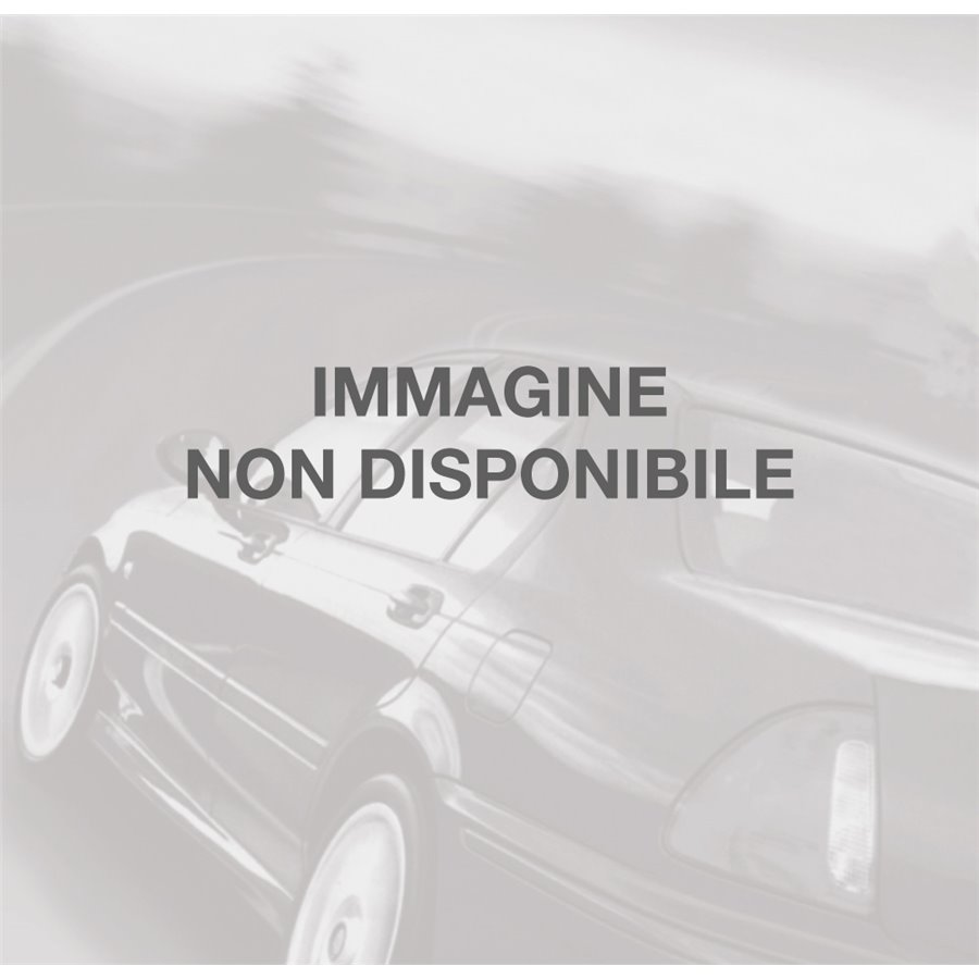 SET TAPPETI PROLINE 3D BMW SERIE 5 4P. 1723 (G30) (IBRIDA)