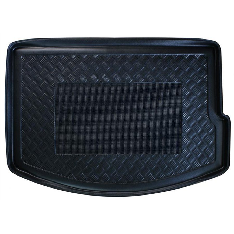 Vasca baule RENAULT Scenic 16˃
