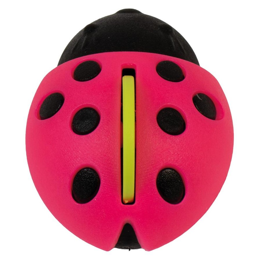 Conf. 6 pz deo Mariquita fucsia fresh fruit