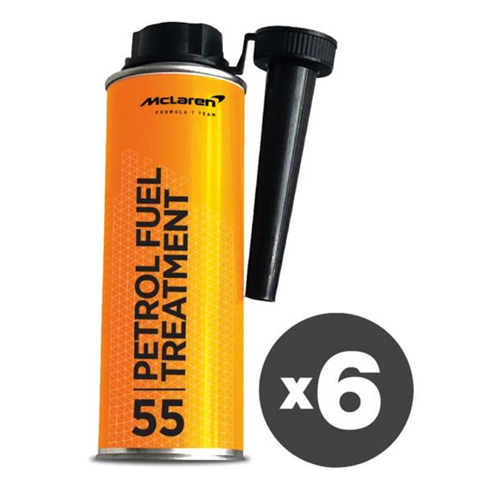 Conf. 6 pz Petrol Fuel Treatment Trattamento benzina 300 mL