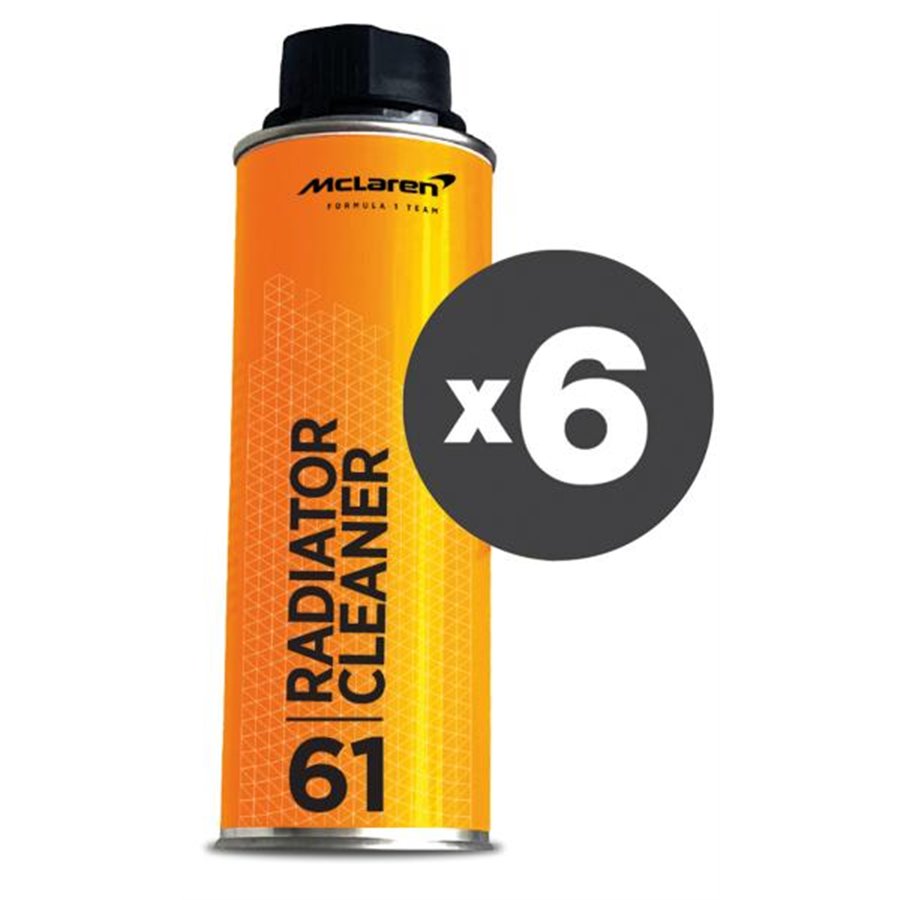 Conf. 6 pz Radiator Cleaner pulitore radiatore 300 mL