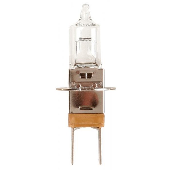 Lampadina importazione 12V 55W