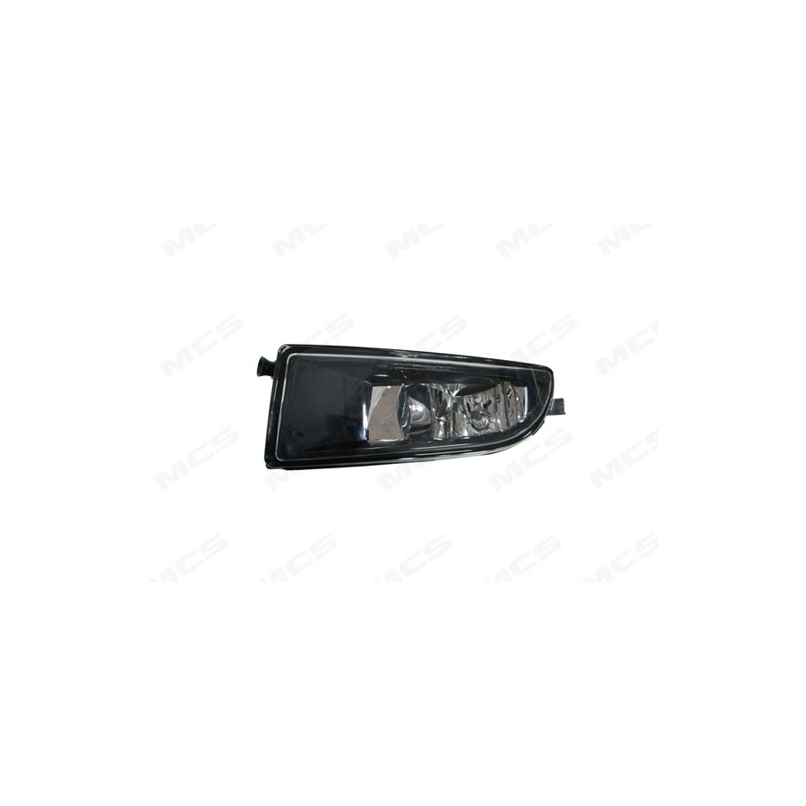 FENDINEBBIA BEETLE (5C1, 5C2)/(5C7,5C8)(4/11-7/16)