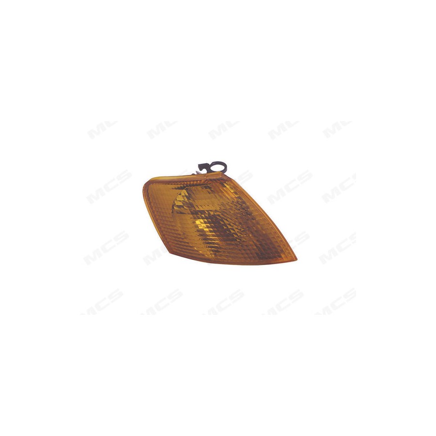 FANALE ANT PASSAT (3B2)/Variant (3B5)(8/96-12/01)