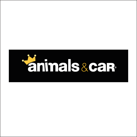 Animals&Car